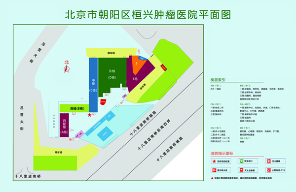 屌肏屄视频北京市朝阳区桓兴肿瘤医院平面图